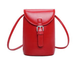 Mini Saddle Style Buckle Crossbody Bag